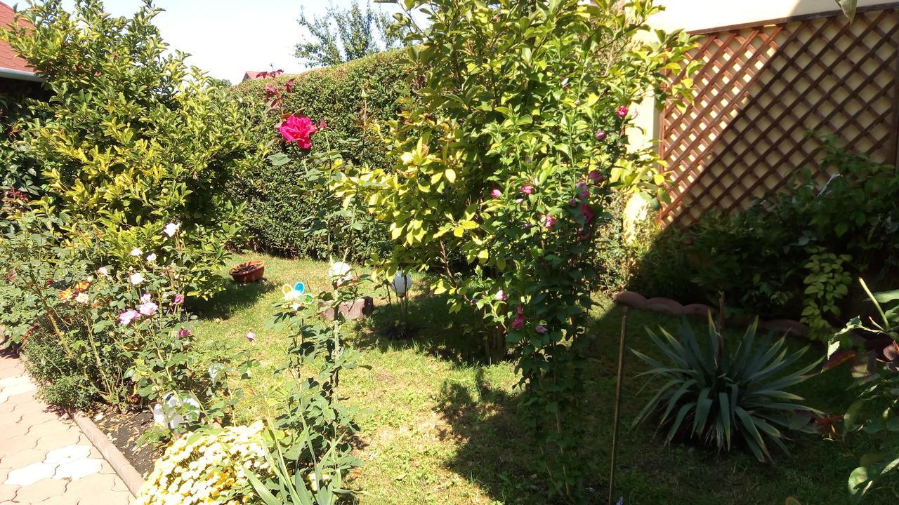 Pensiunea Magnolia Hermannstadt Exterior foto