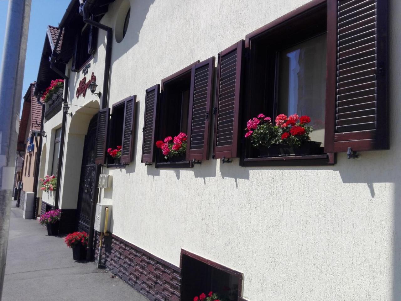 Pensiunea Magnolia Hermannstadt Exterior foto
