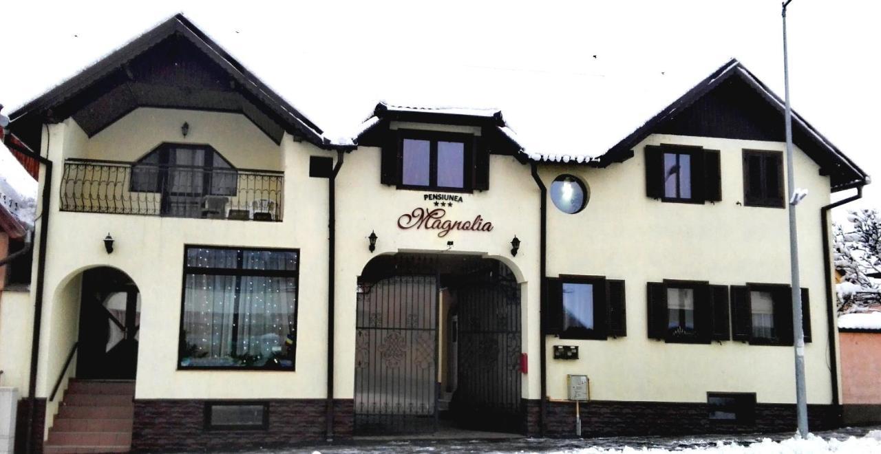 Pensiunea Magnolia Hermannstadt Exterior foto