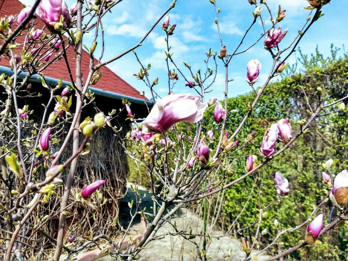 Pensiunea Magnolia Hermannstadt Exterior foto